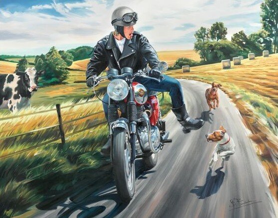 A50 - A65 - Rocket 3 / 1962-1973