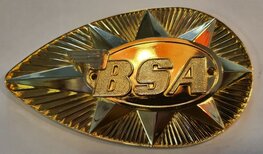 82-9695/6 SET metalen emblemen, peer vormig