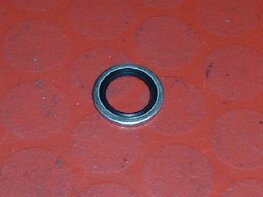 06-5329-34 Rubberished washer for petrol tap