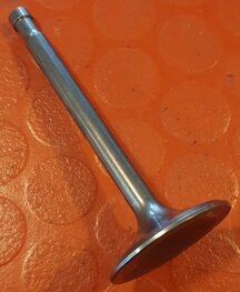 65-1111 Inlaat klep B31 + B32 Trial