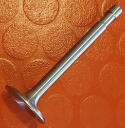 40-0166 Uitlaat klep C15