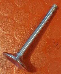 71-1736 Uitlaat klep B50