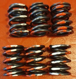 70-8787/8 Set valve springs for 6 valves